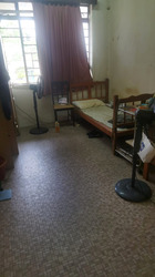 Sennett Estate (D13), Terrace #552801621